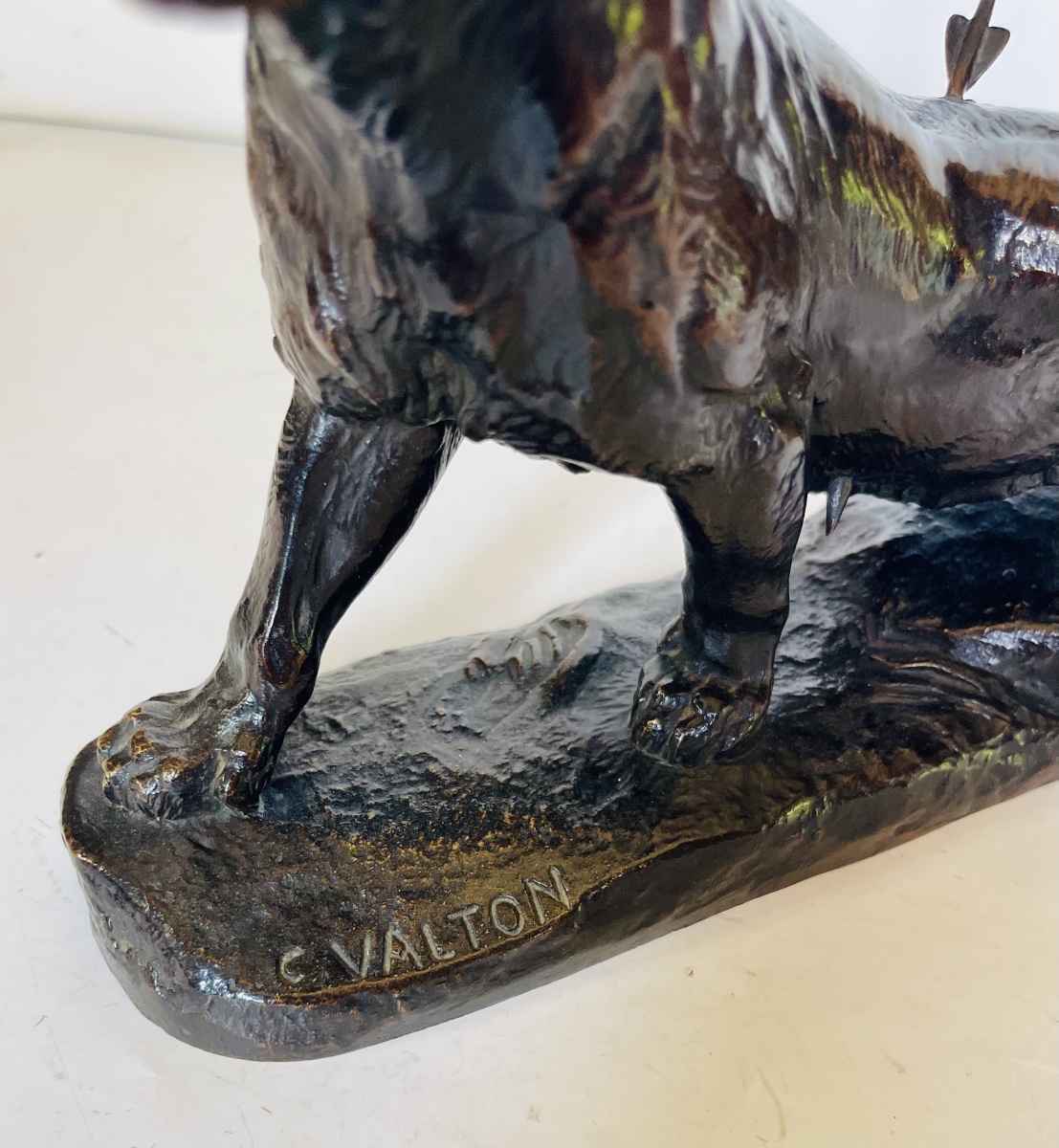 Lionne blessée - Charles VALTON-photo-5
